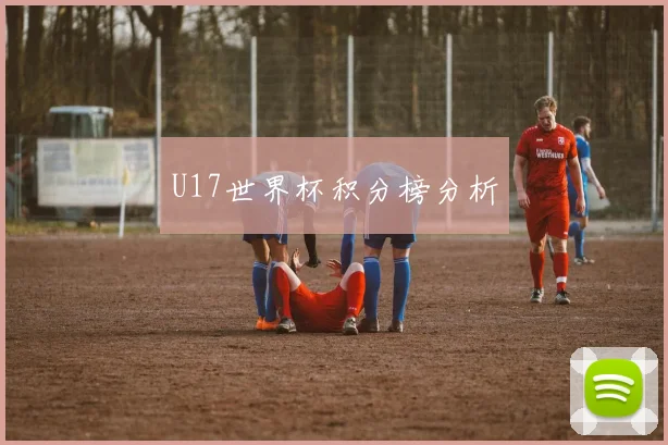 U17世界杯积分榜分析