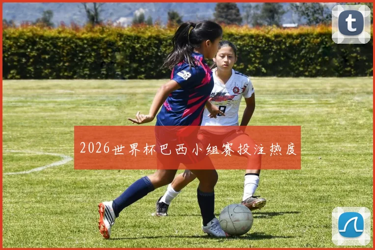 2026世界杯巴西小组赛投注热度