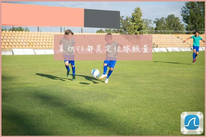 莱切vs都灵定位球较量