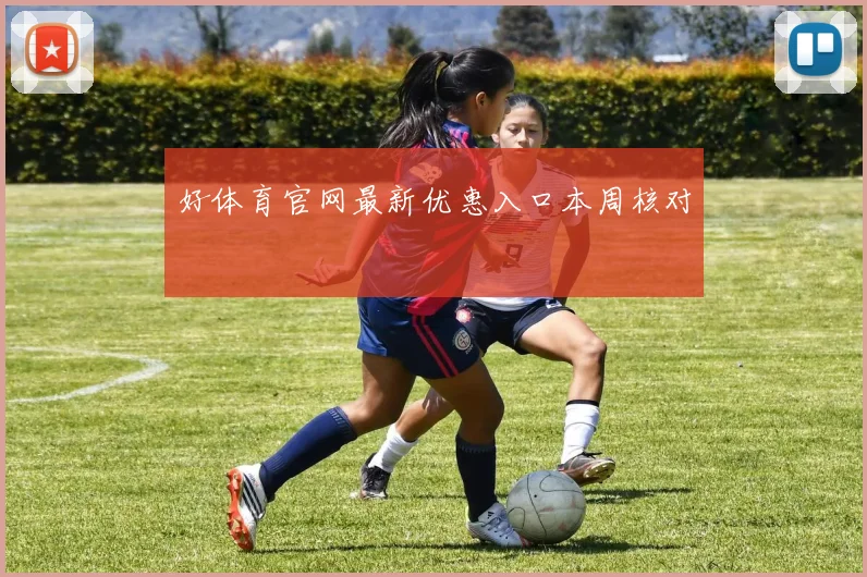 好体育官网最新优惠入口本周核对