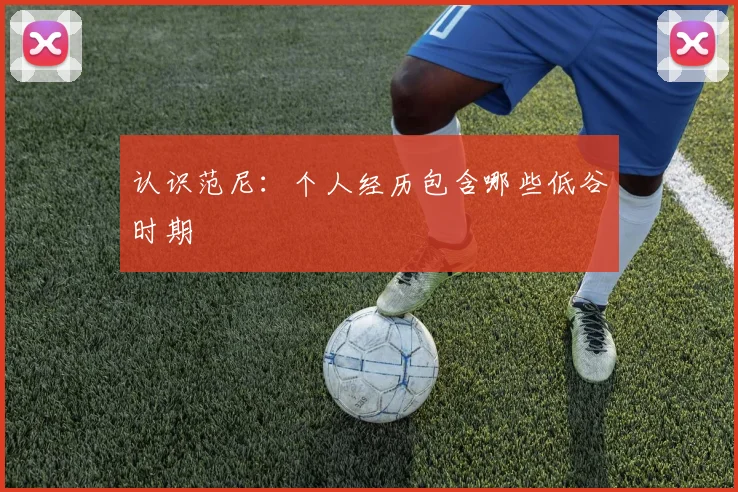 认识范尼：个人经历包含哪些低谷时期