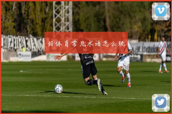 好体育常见术语怎么玩