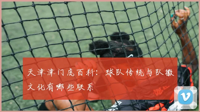 天津津门虎百科:球队传统与队徽文化有哪些联系